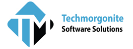 techmorgonite software solutions